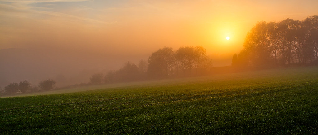 A green Missouri field at first light, mist lifting off the tree line as the sun rises